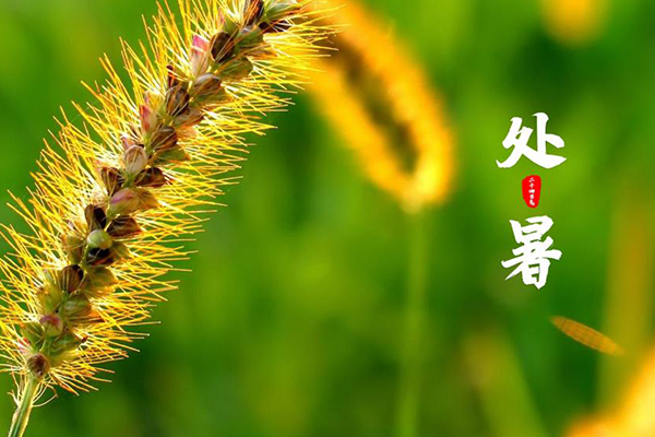 J9���Ź���(�й�)-�ٷ���վ